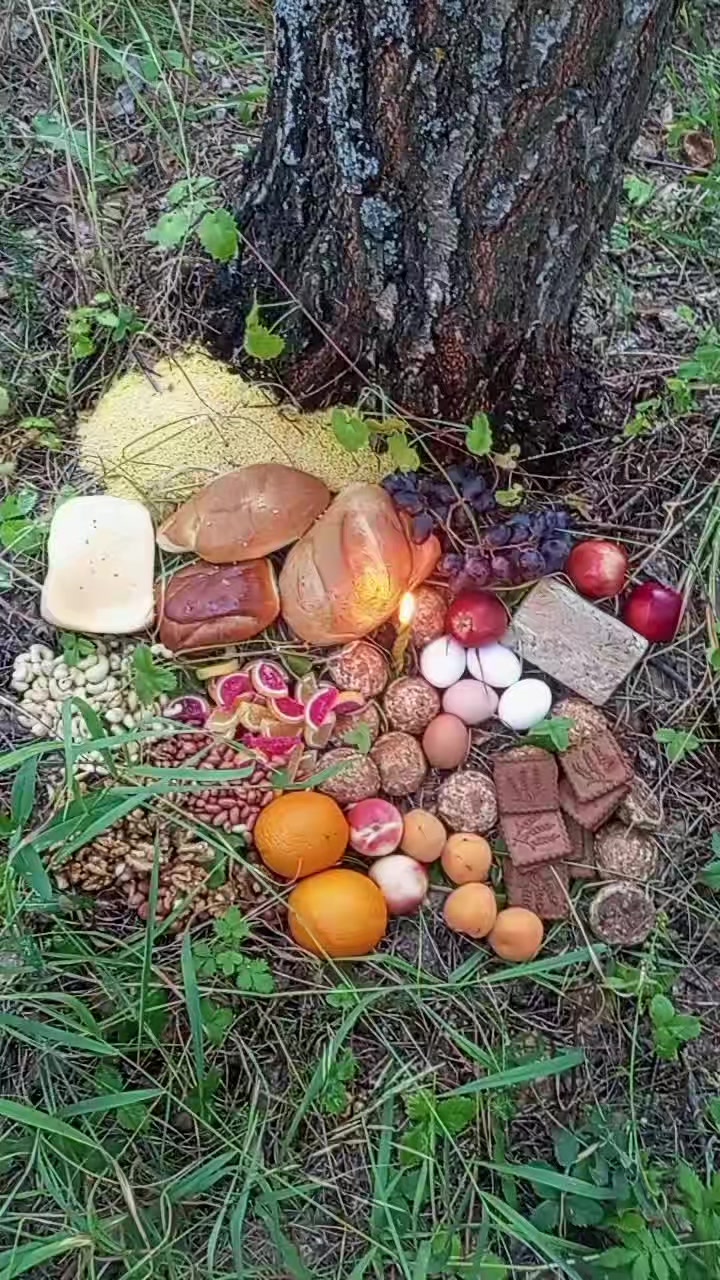 @Л&euml;са