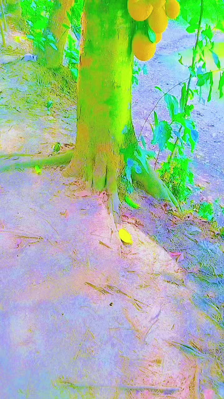 @&diams;️Mr Shahadat Hosain&diams;️