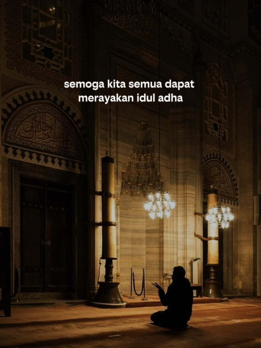 @8K Effect