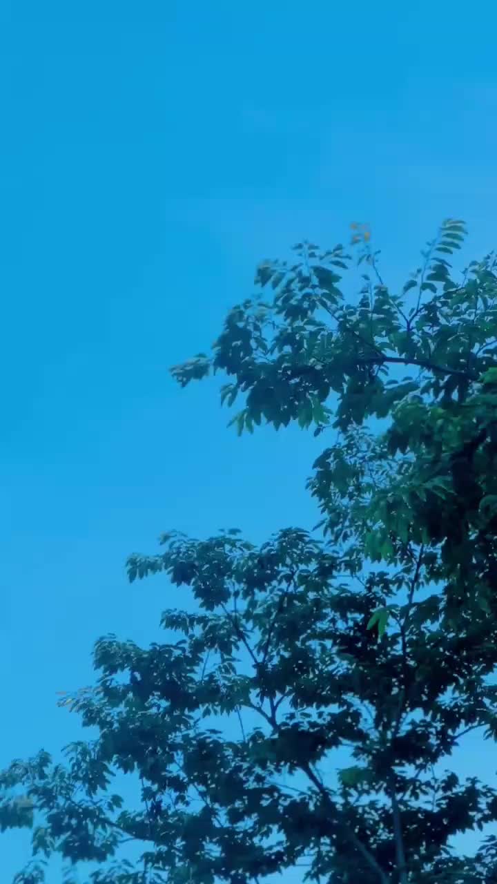 @𝐑𝐀𝐉〇 𝐁𝐇𝐀𝐈ــ💥