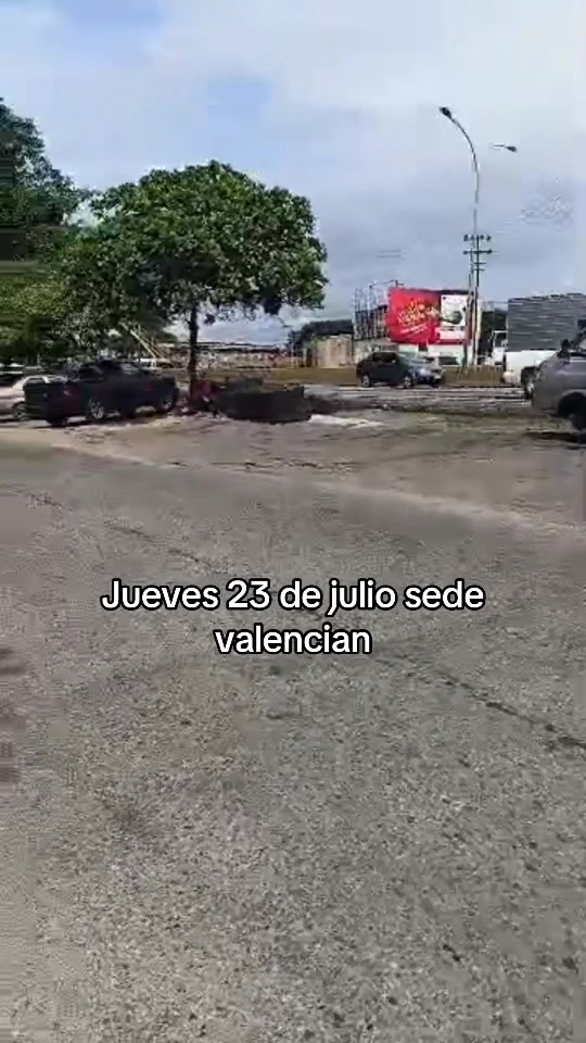 @vanessa plantas