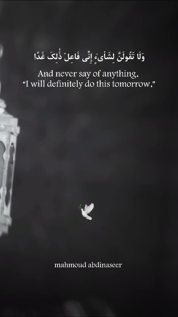 @Mahmoud Abdinaseer 🕊