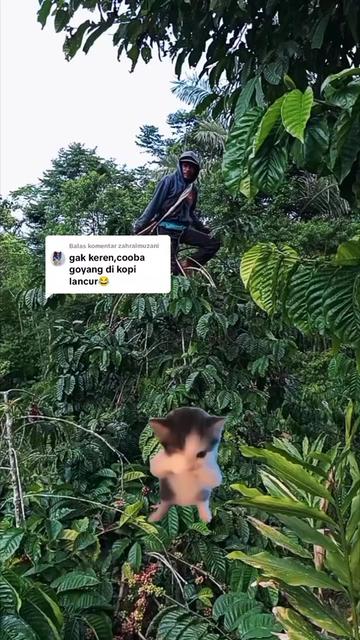 @PetaniMuda