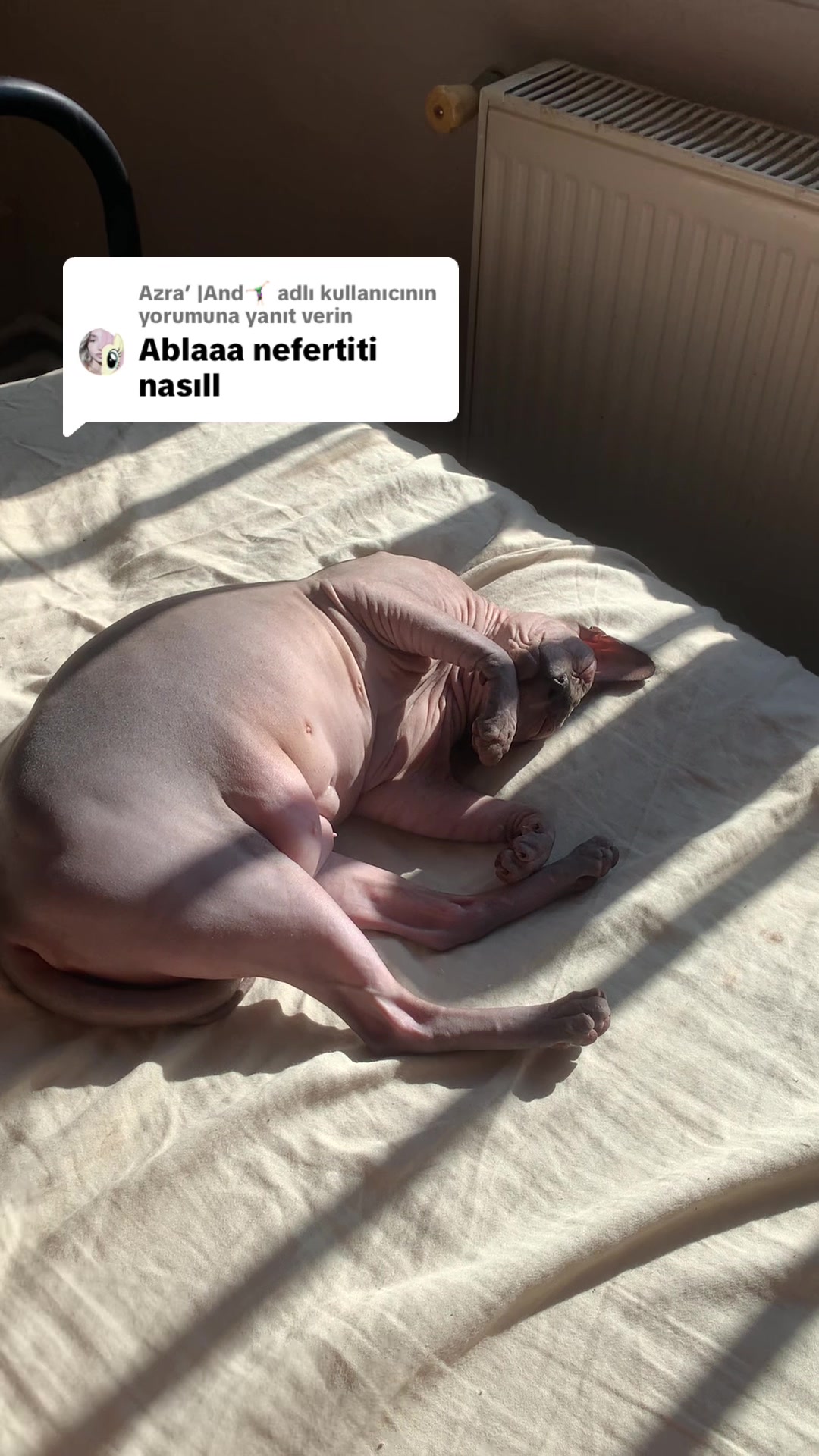 @Larin
