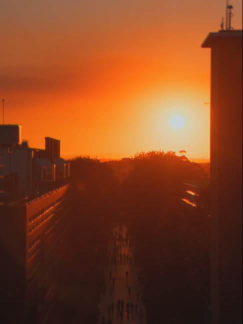 @UNSW