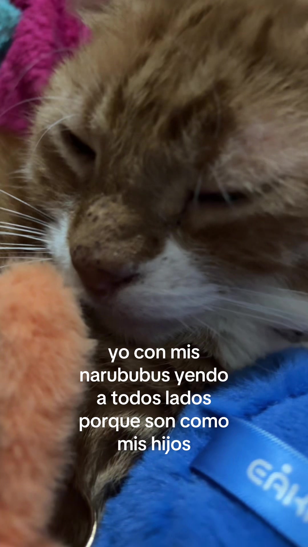 @Amélie ⚢
