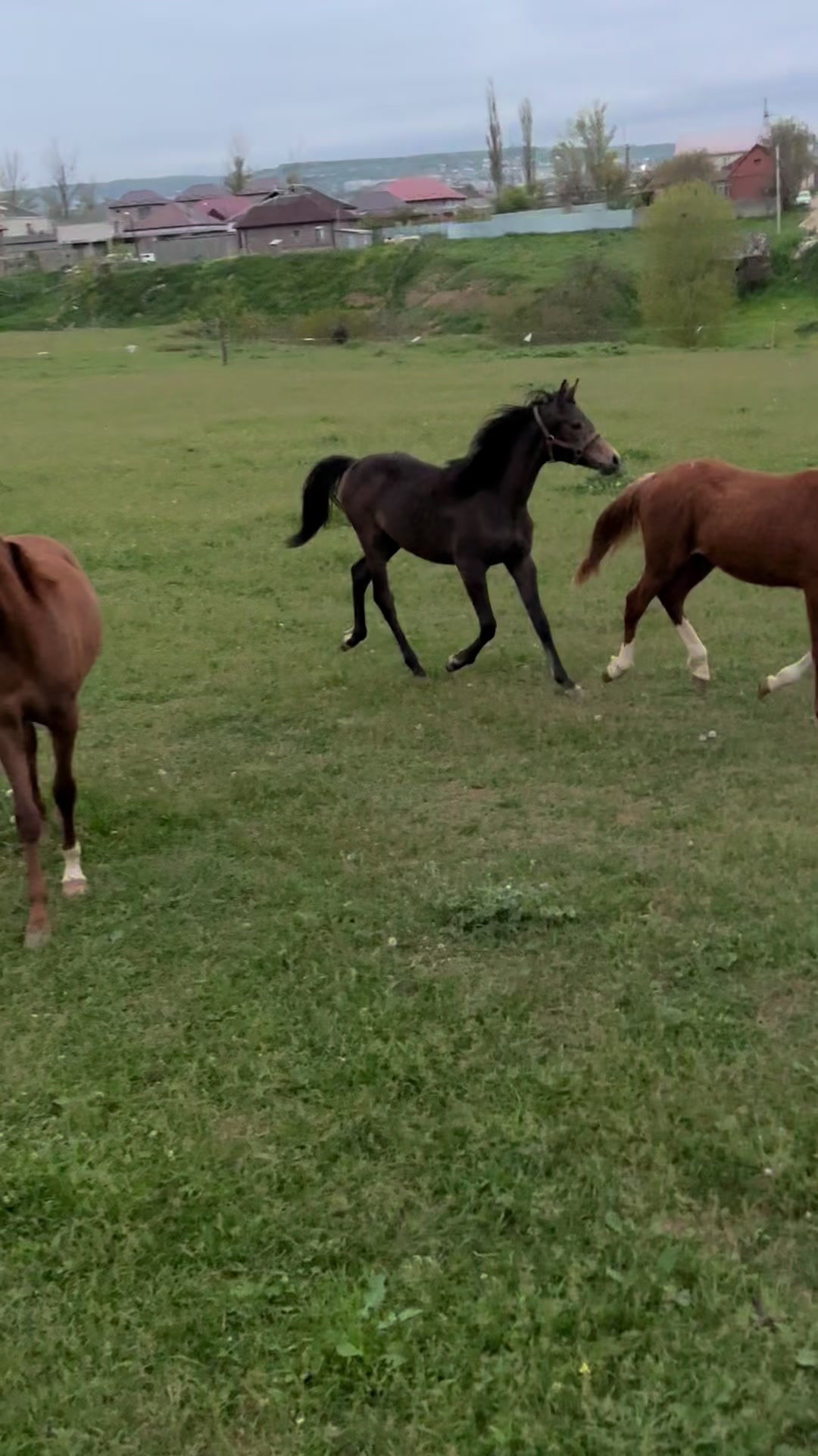 @MakvinStud