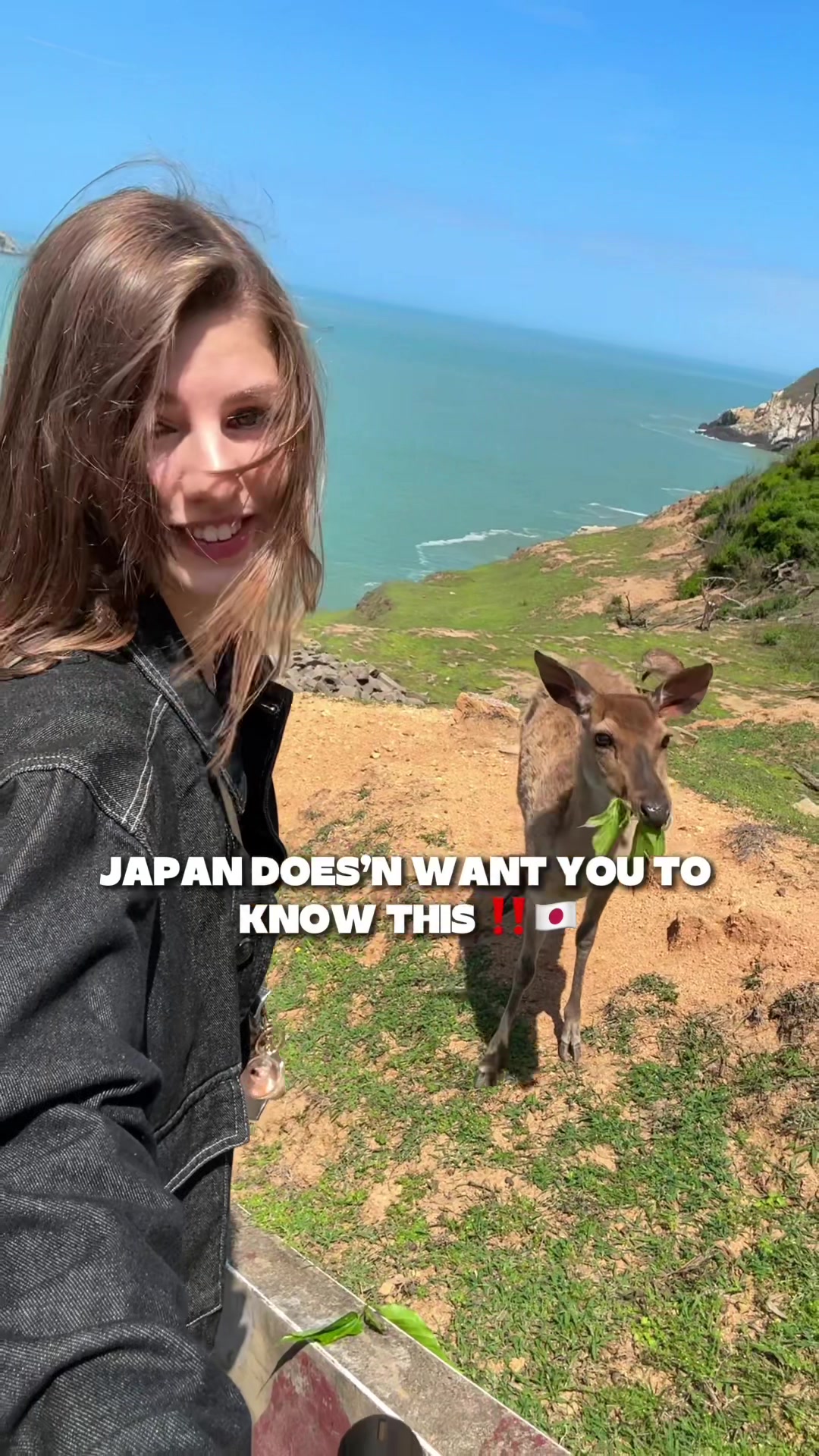 @adele.travels