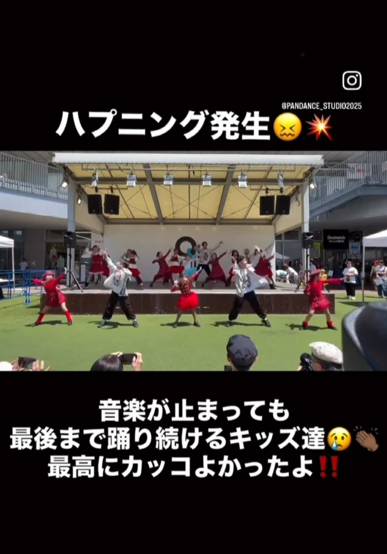 @pandancestudio2025