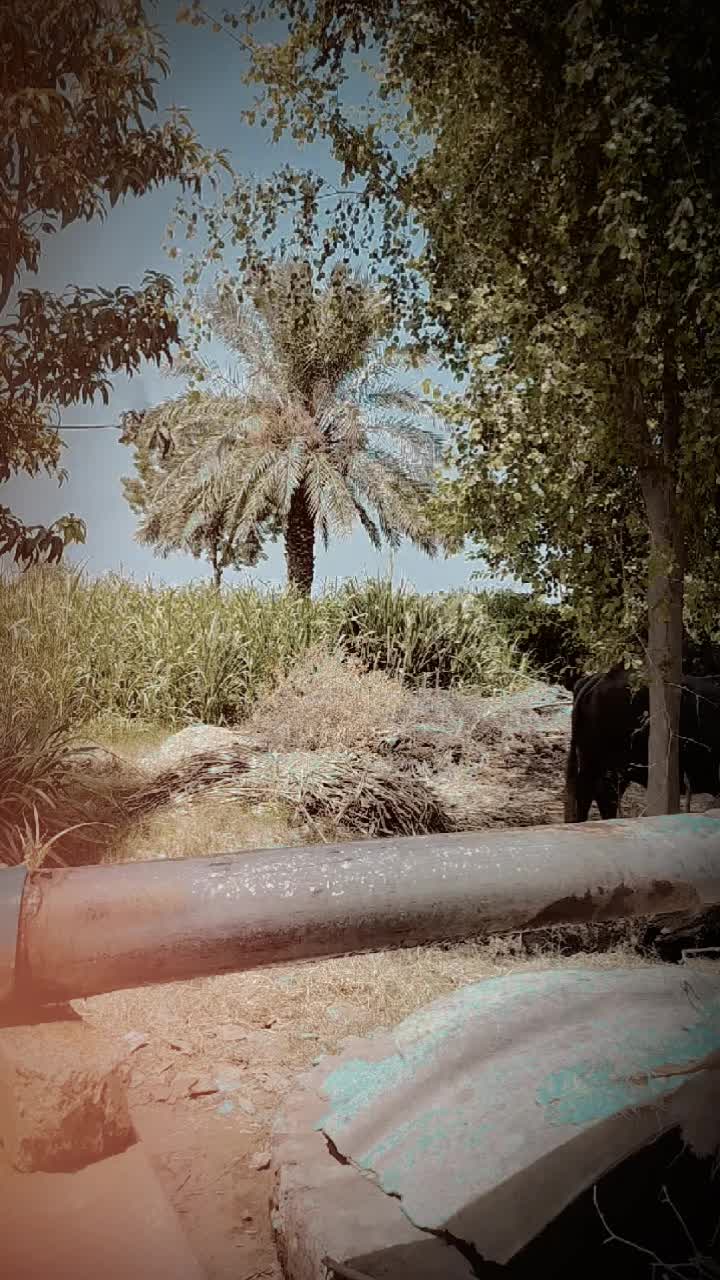 @𓄂ₖᵢₙG ₐₖ47