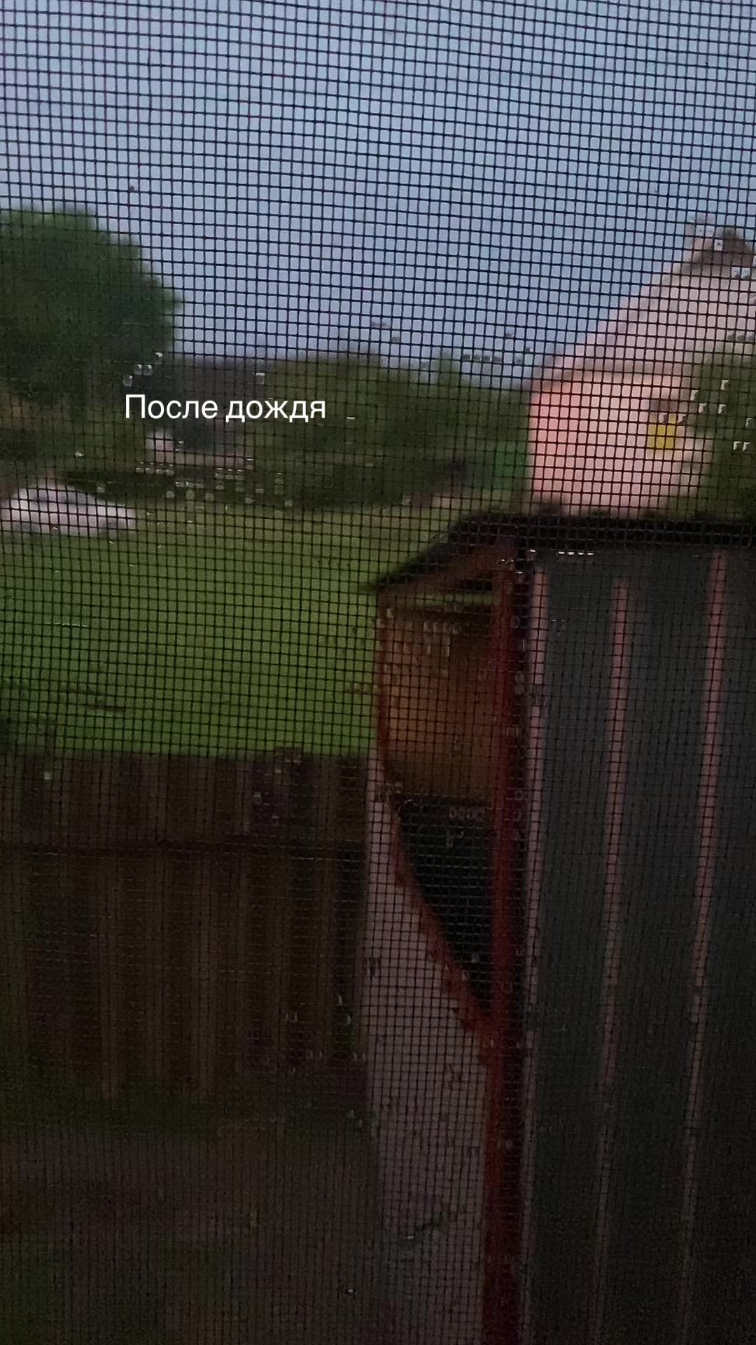 @Аля:/