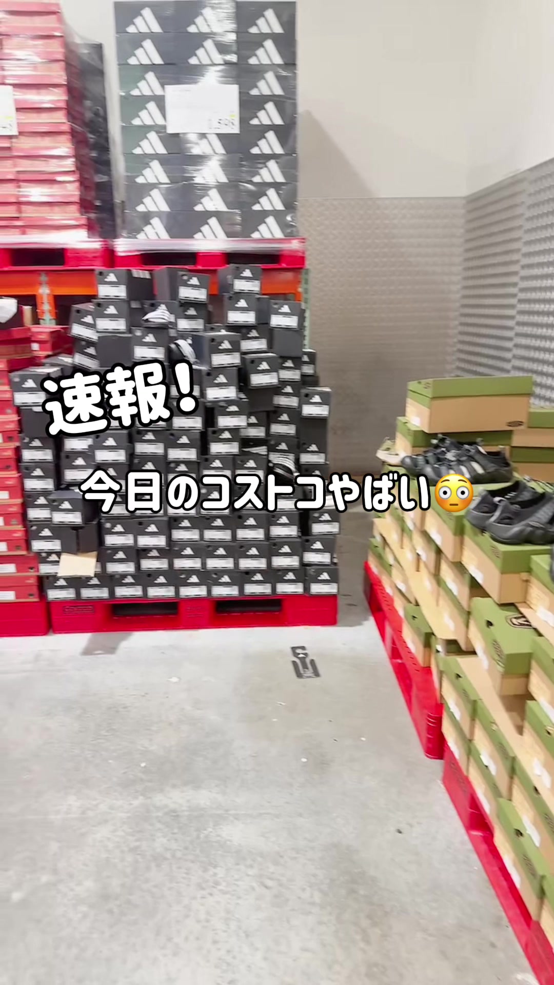 @毎日コストコに通う主婦🥤てこ