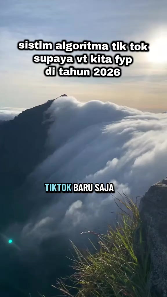 @vieagnur