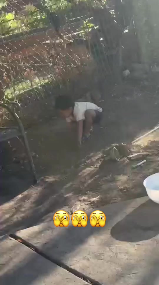 @Lidia Ixtos