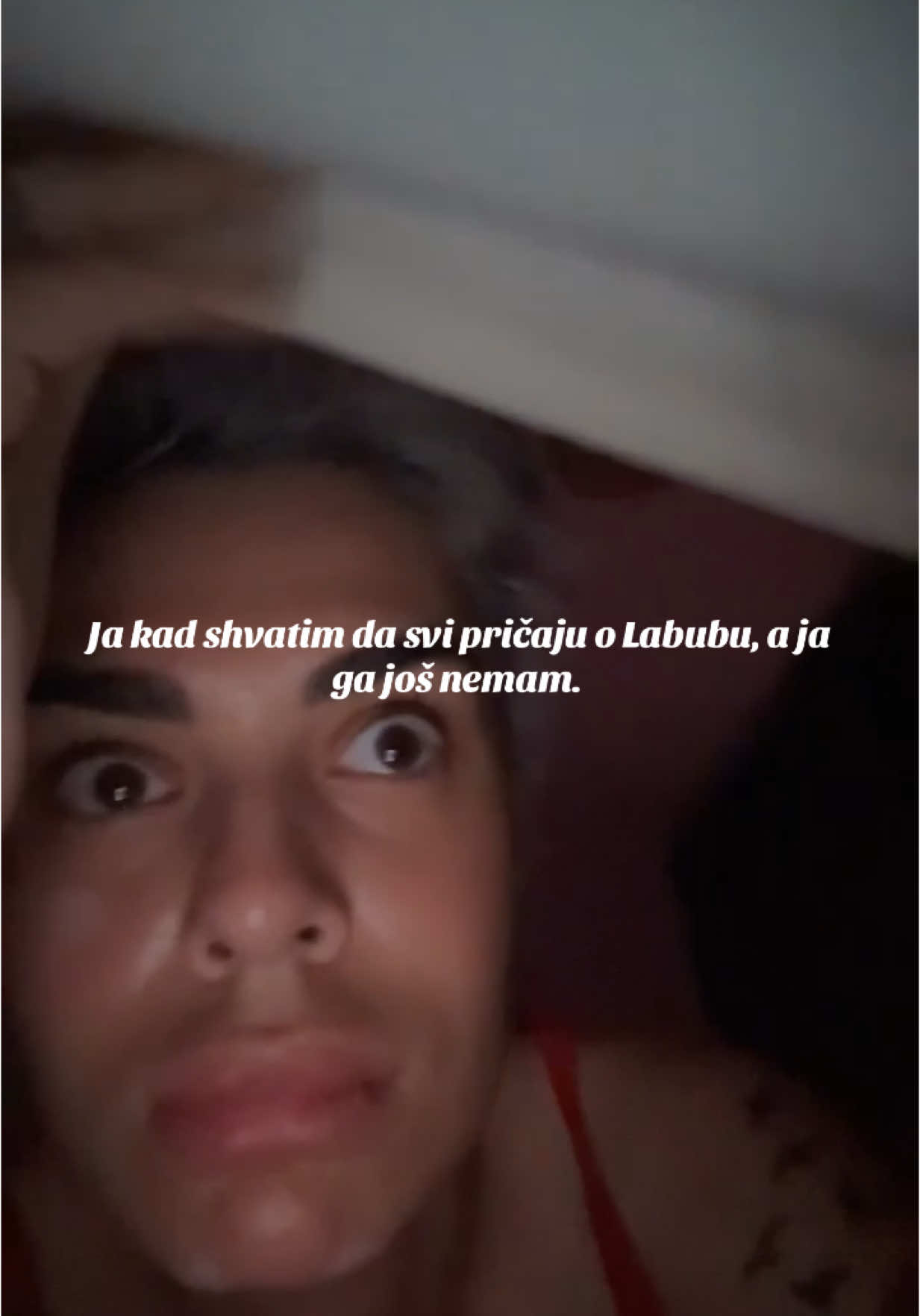 @Mina Vrbaški