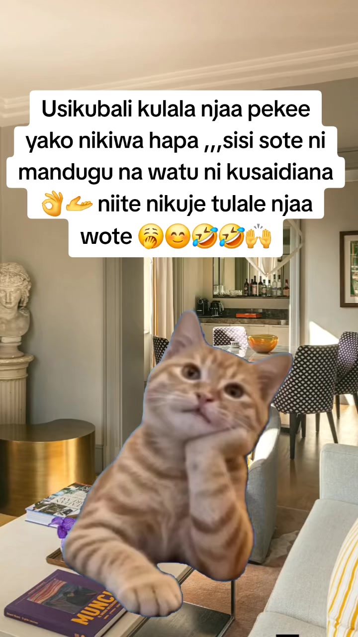 @Miss Vibez ๐ค๐๐