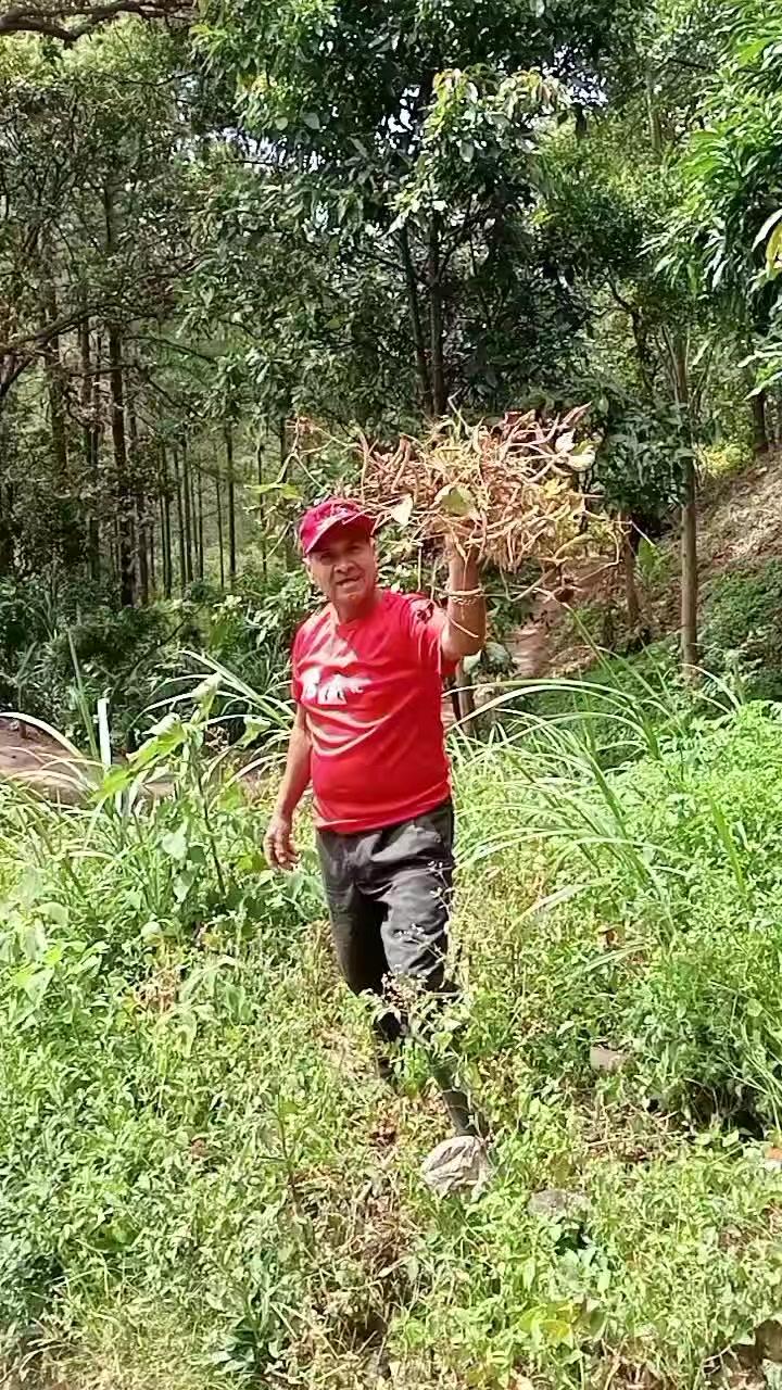 @Sebastian Vásquez