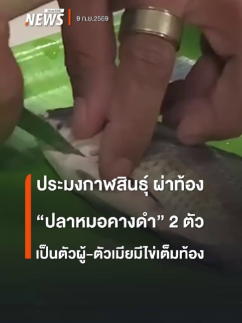 @Thai PBS news