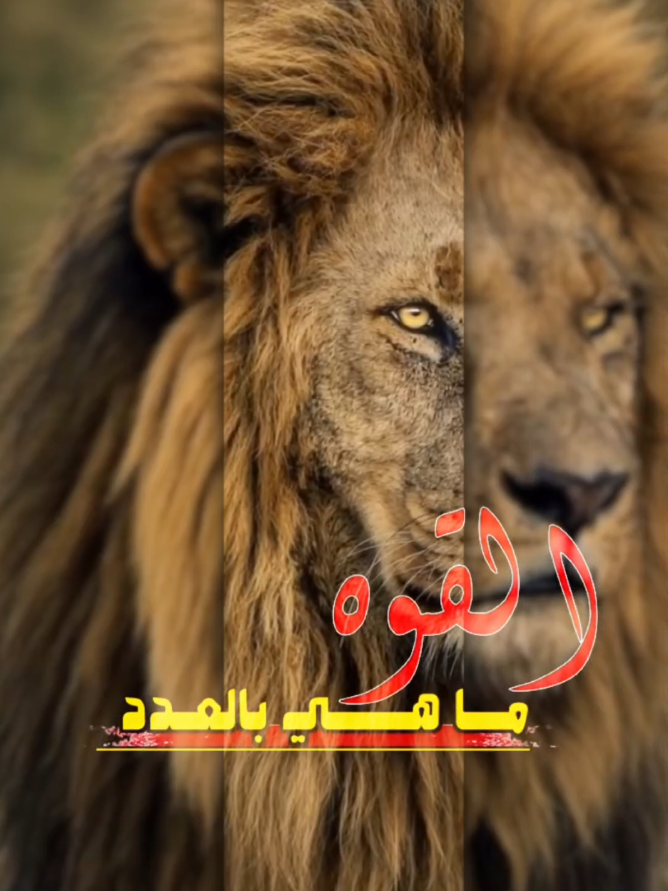 @♔〘 ابن الاكابر 〙♔