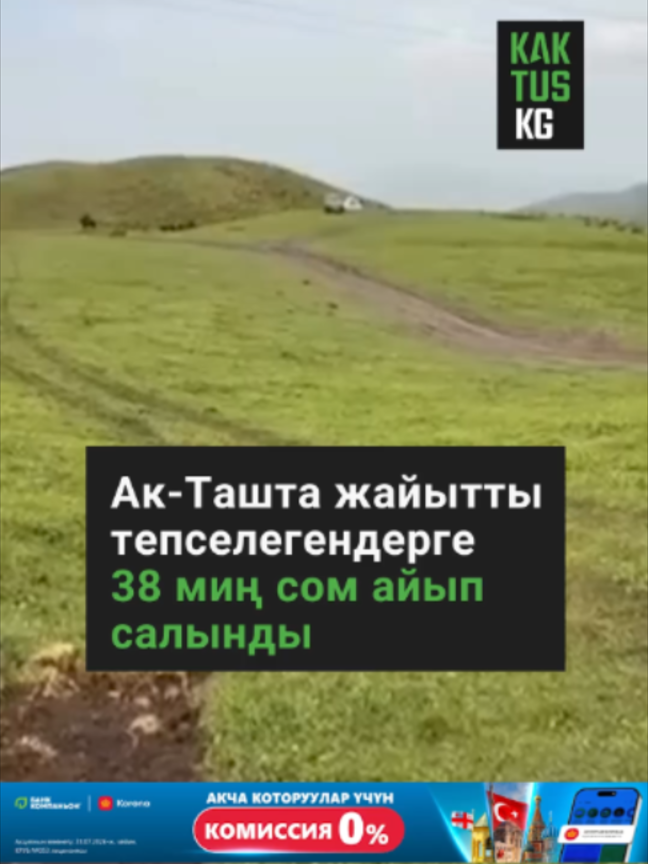 @Kaktus KG