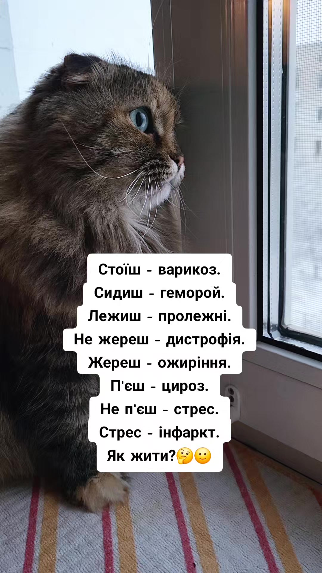 @Zorka