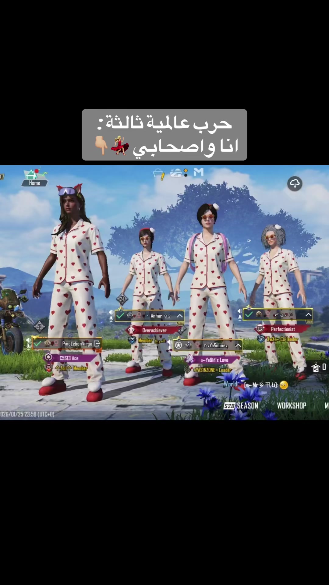 @Sandy Fayad