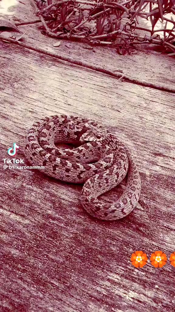 @Qeys_059