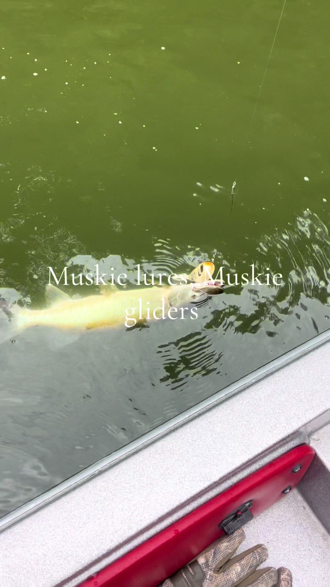 @JW Lures