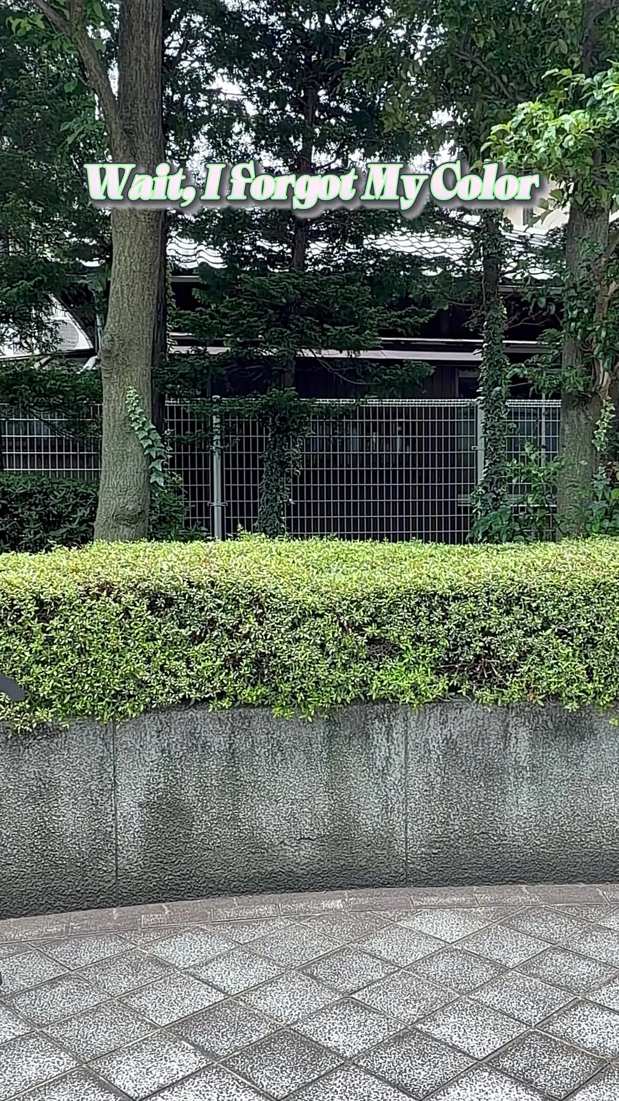 @アクロトーキョー。