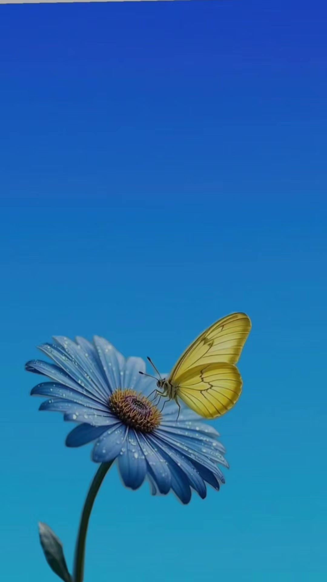 @@Lucy