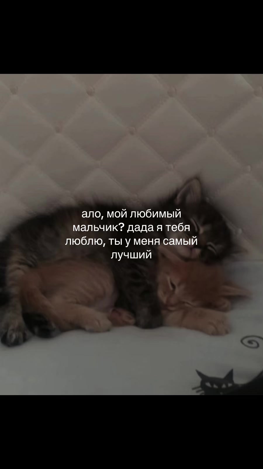 @♡‧₊˚softtiquiet˚₊‧♡