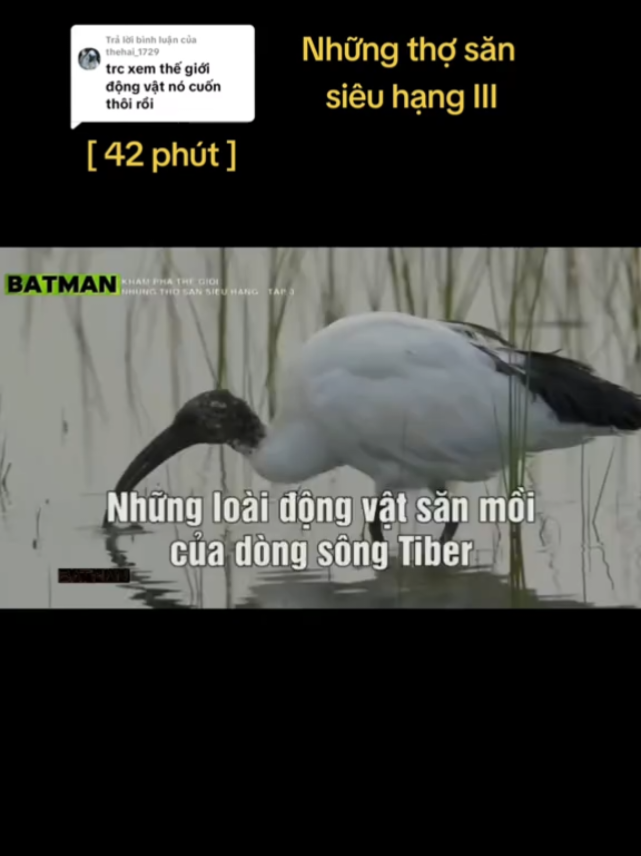 @🌏 BATMAN
