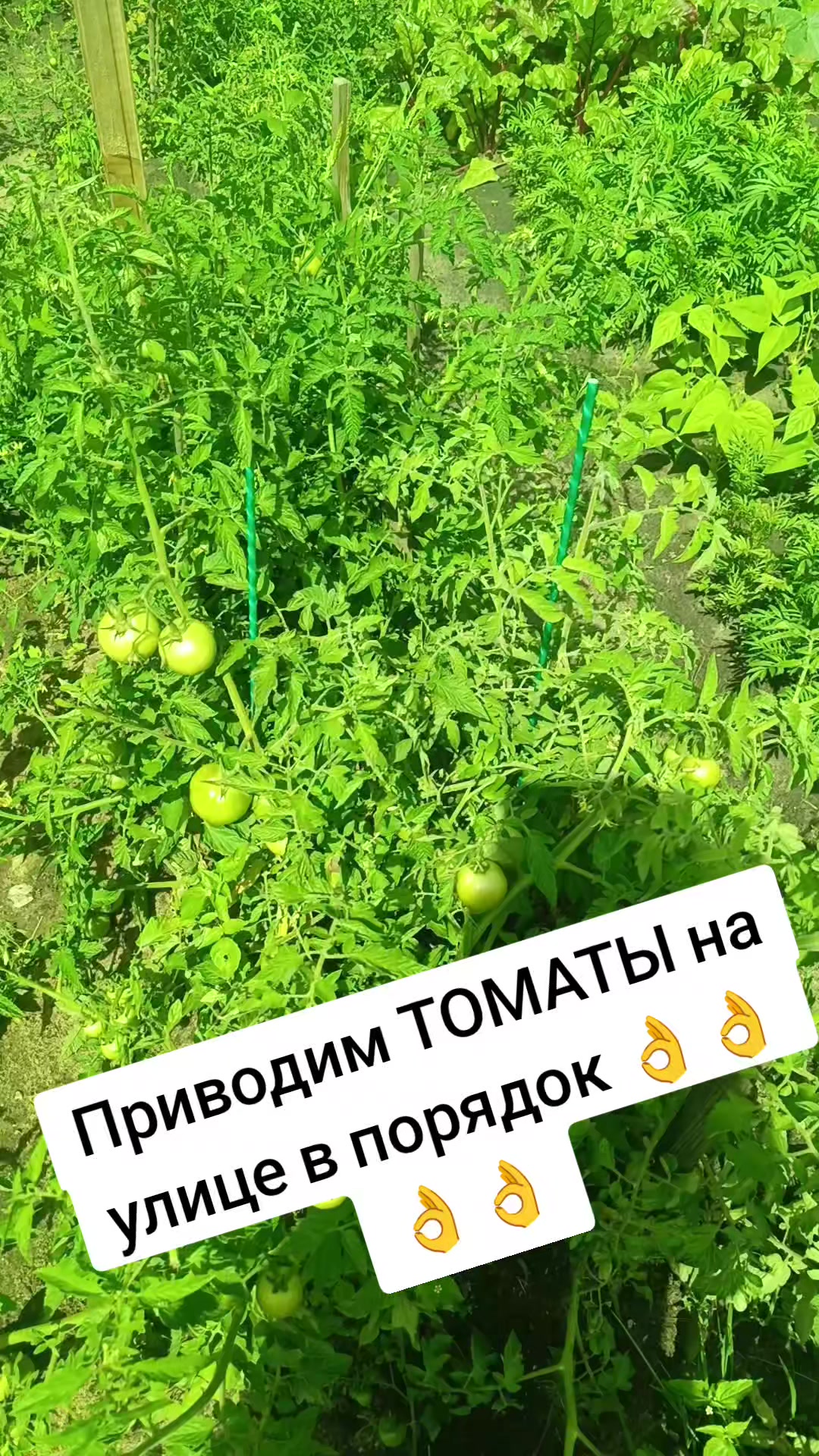@Оленька
