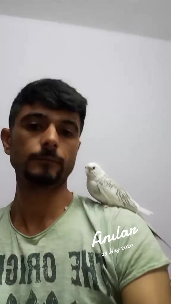 @Mustafa✔️Mal&ccedil;ok✔️
