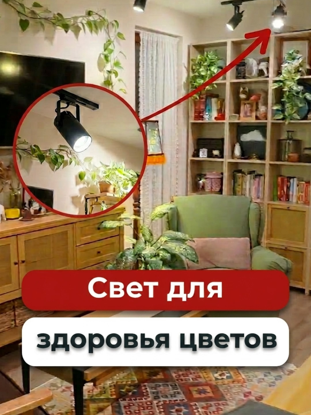 @Ольга Качанова