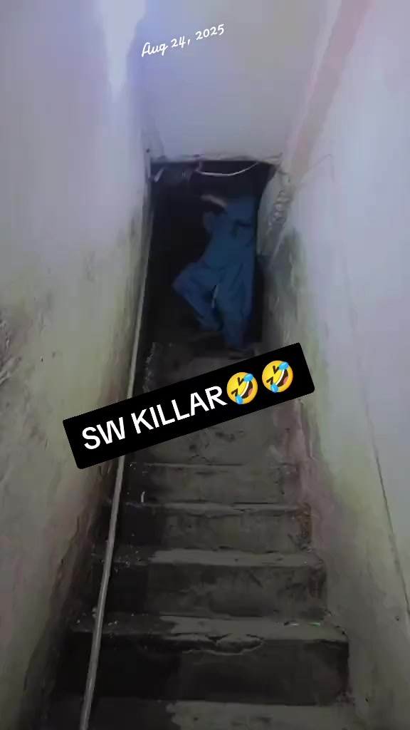 @✮͢⁹&sup1;&sup1;┊ᴅᴏɴ ᴊᴇᴇ☠⸻๛