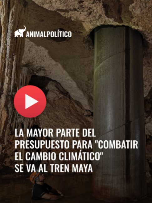 @animalpoliticomx