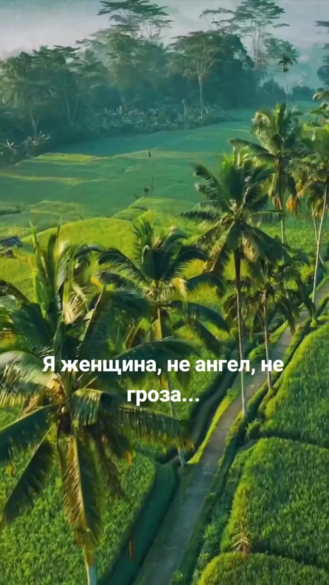 @Мила Телец.