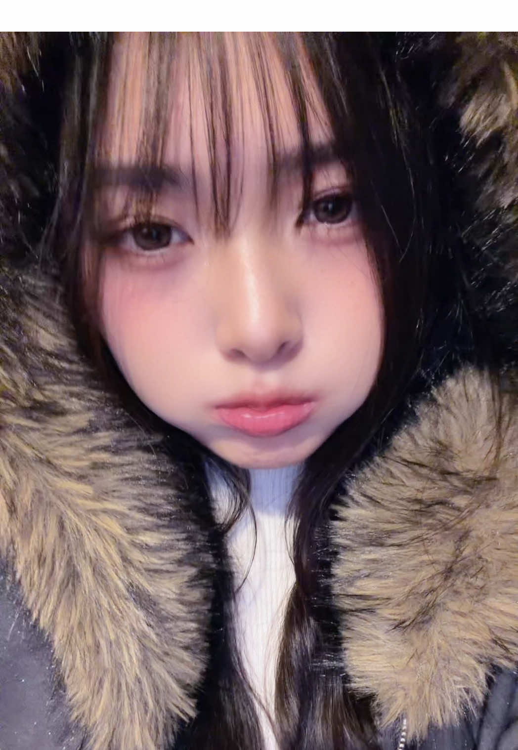 @どて煮丼
