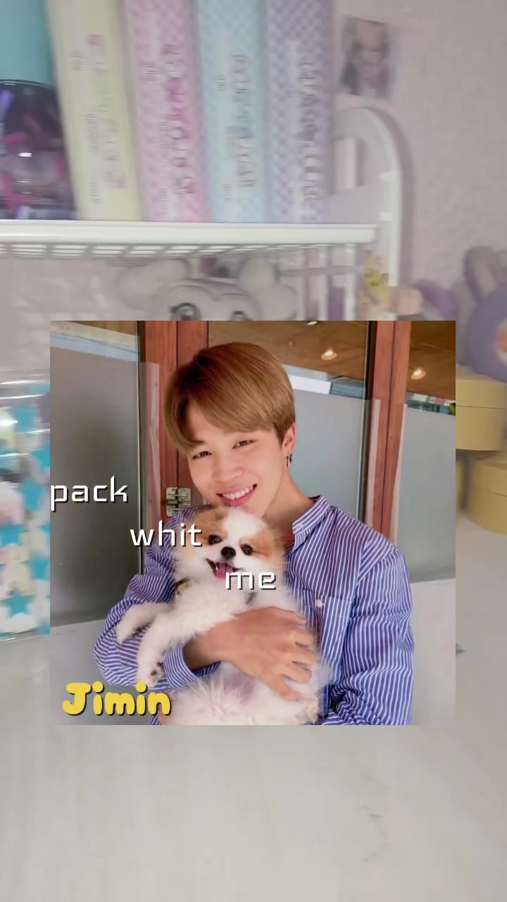 @🍥⋆. 𐙚˚࿔ rᥱᥒі 𝜗𝜚˚⋆🍥