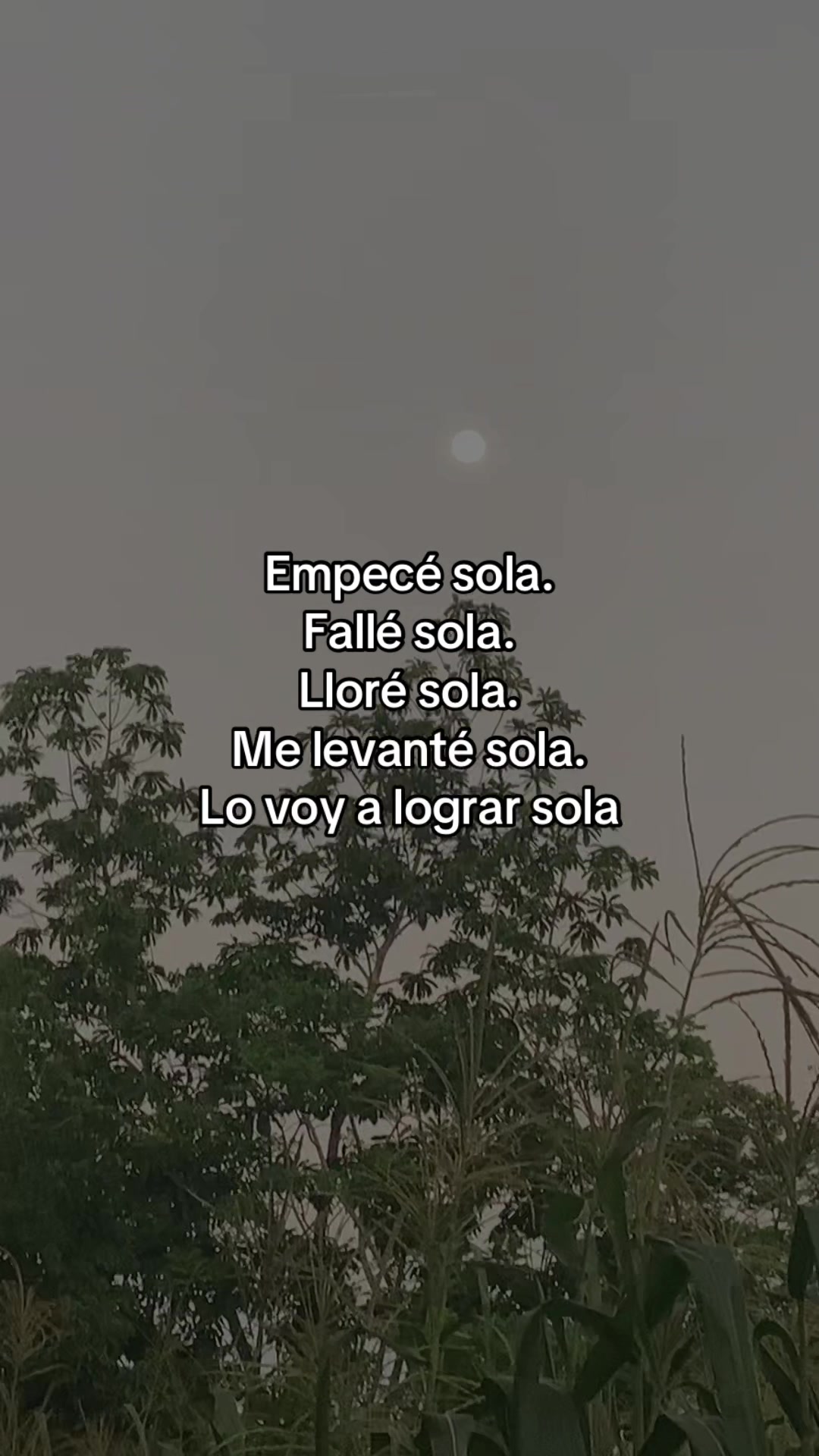 @🫦carolina alias samy  🫆
