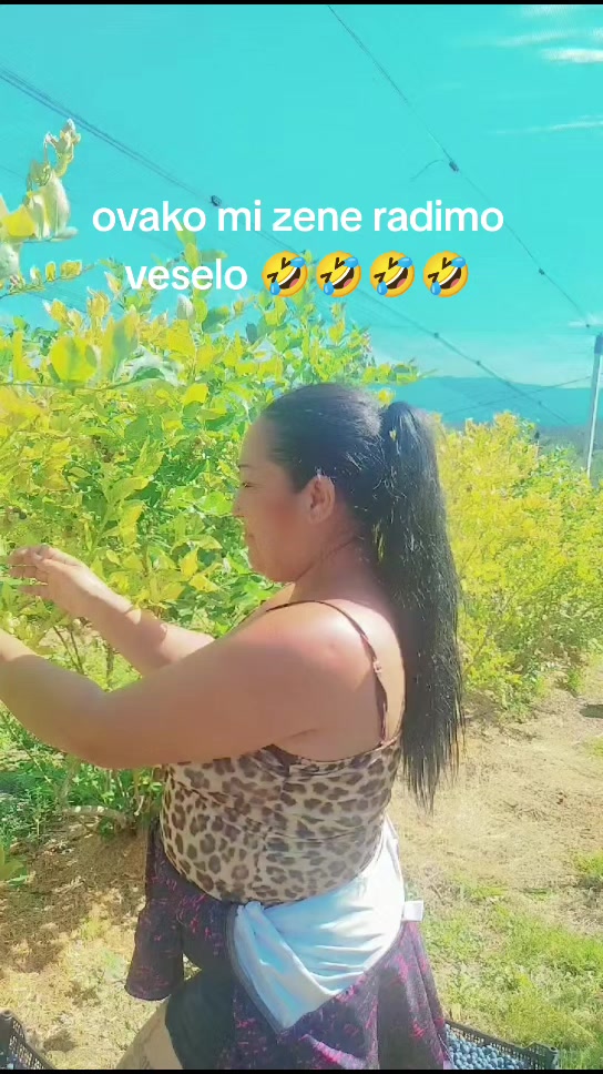 @liki ❤️liki