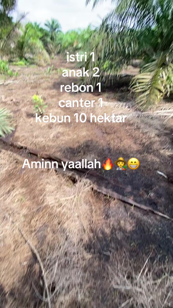 @andikaferel