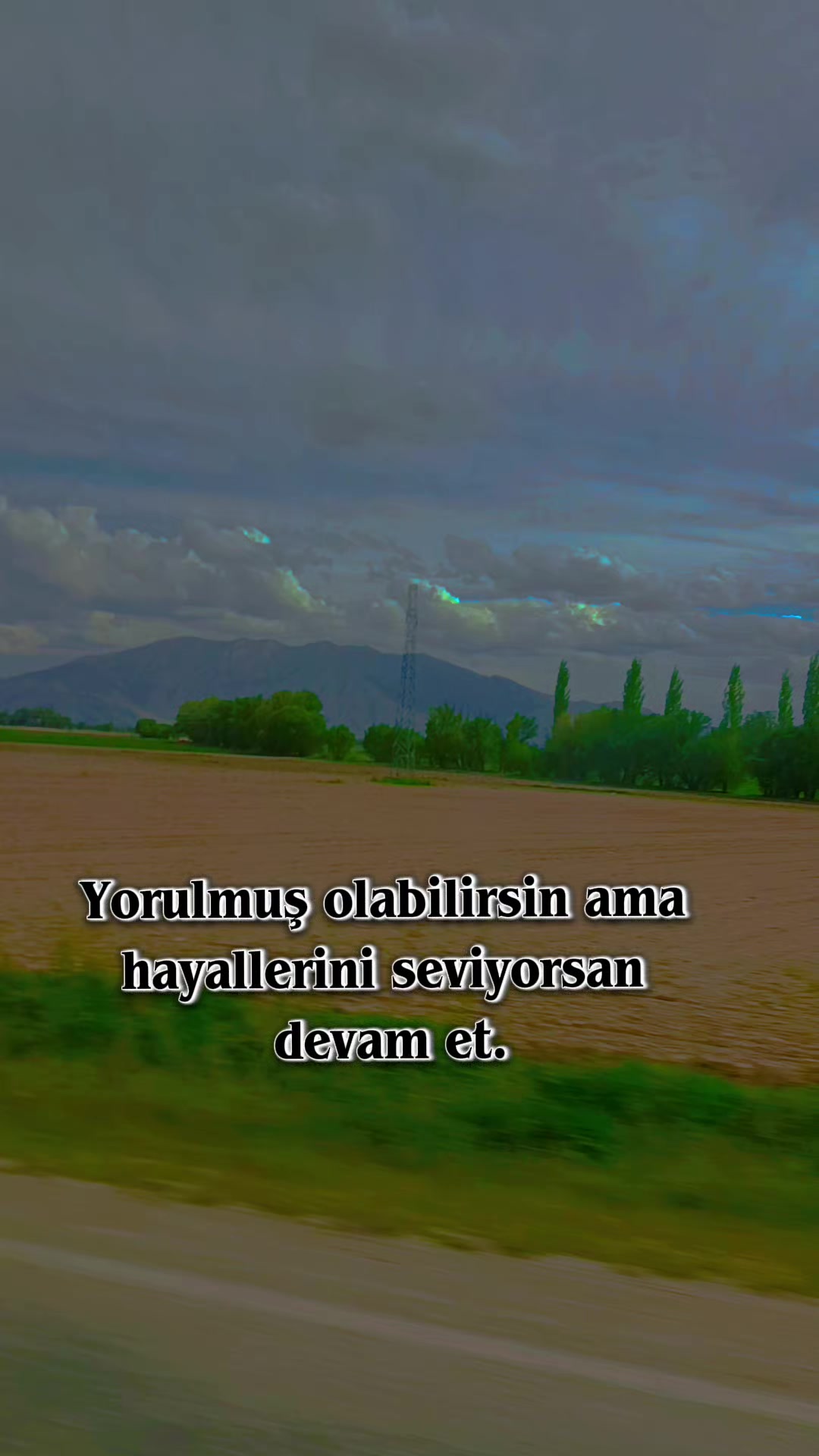 @Berat46