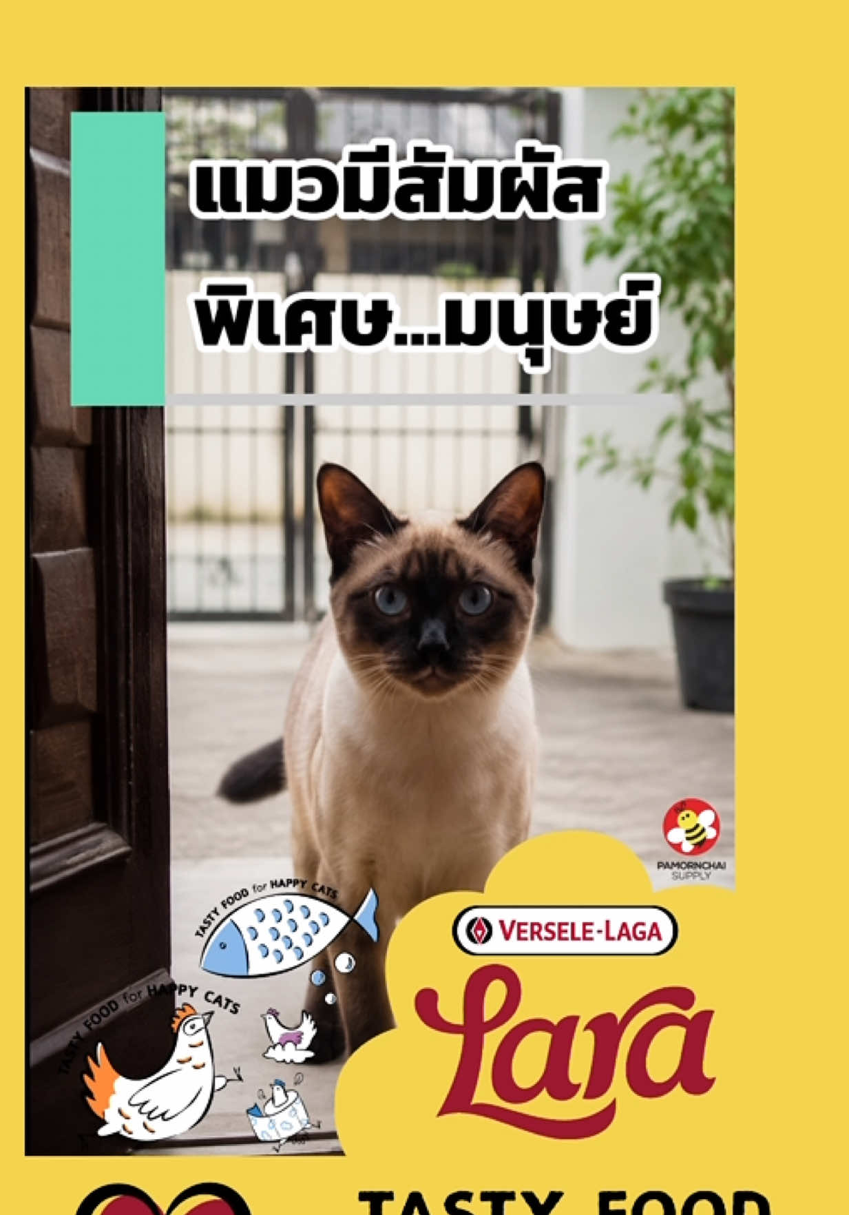 @WelovepetsbyPamornchaiSupply
