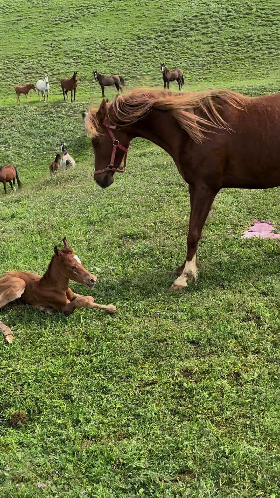 @MakvinStud