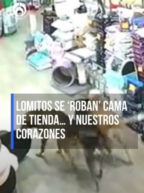 @Radio Fórmula