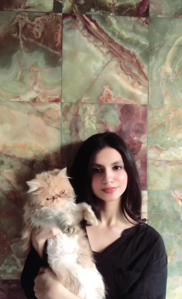 @✭