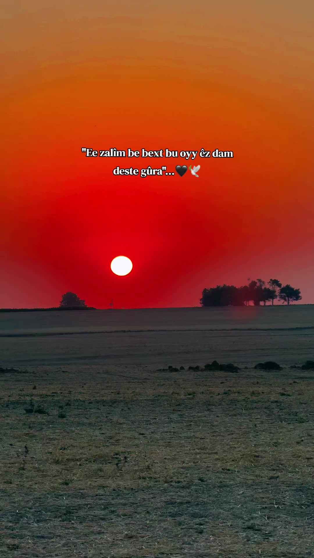@𝐒 𝐓 𝐄 𝐑 𝐊 ✷