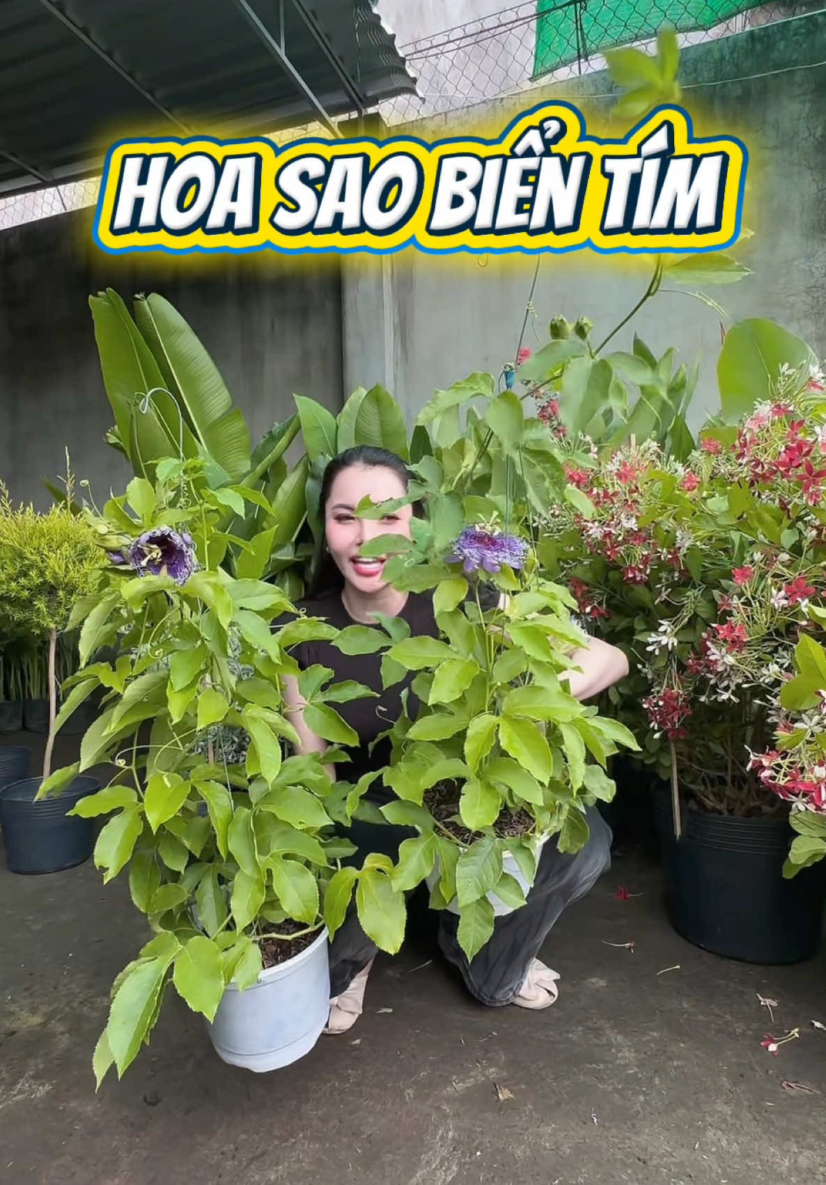 @Tiệm L&aacute; Nhỏ